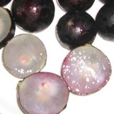 jabuticaba_kazitu02.jpg