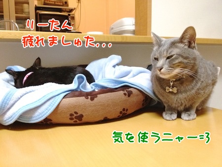気を使う