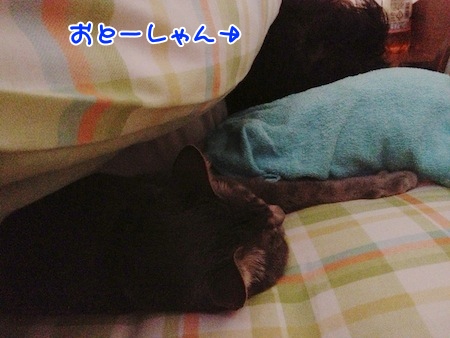 すやすや