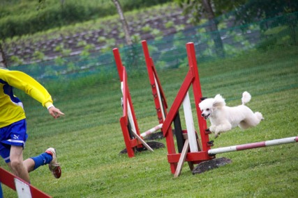 IMG_1029.jpg