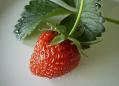 食20060702_0000