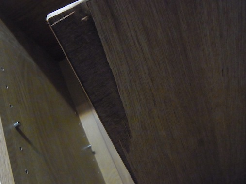 RIMG7366.jpg