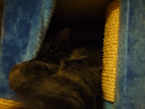 P1010818.jpg