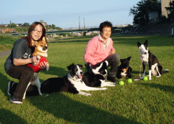 sgrsn_201410201738030d0.gif