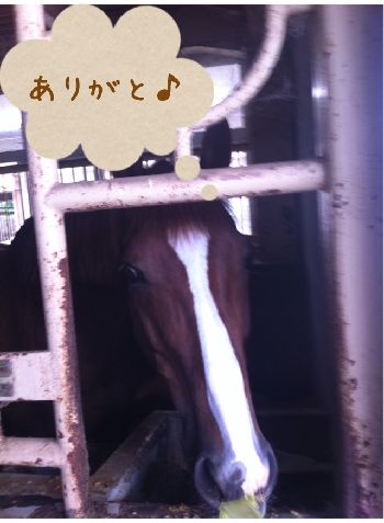 アサヒ
