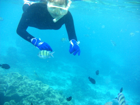Ter Bay