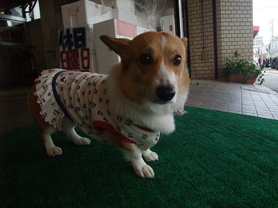 008_20121022154624.jpg