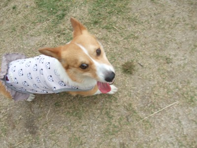 楽しいなぁ~