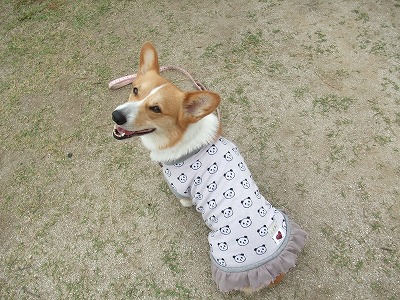 見返り美人?