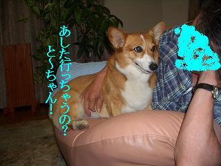 CIMG3825.jpg