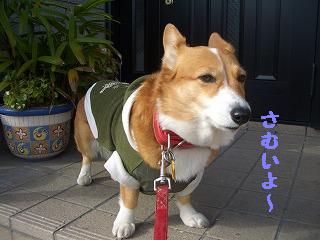 CIMG6053.jpg