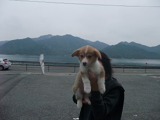 2008_0413Ｌａｎｉちゃんの日々0025.jpg