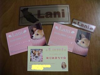 2008_0414Ｌａｎｉちゃんの日々0004.jpg