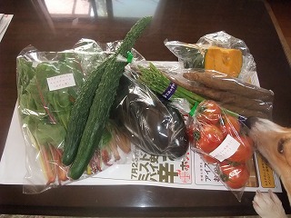 2008_0724初体験＆野菜0036.jpg