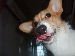 2008_0923ヨダレ?0002.jpg