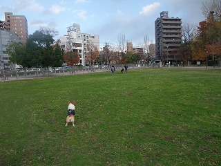 2008_1207広大跡地で遊ぶ0003.jpg