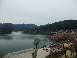 2010_0418土師ダム0002.jpg