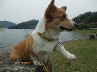 2010_0418土師ダム0027.jpg