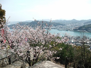 2010_0407花見0002.jpg