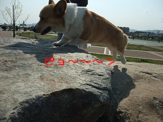 2010_0501みなと公園で0011.jpg