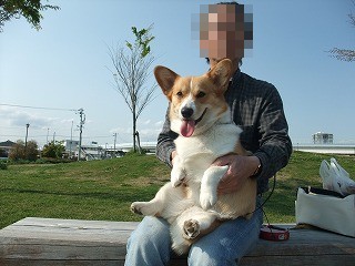 2010_0501みなと公園で0020.jpg