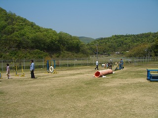 2004_01012010_0503岡山にて0043.jpg