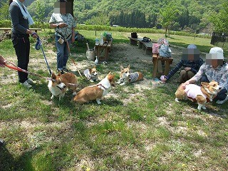 2010_0503御津ランにて0055.jpg