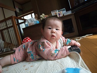 2010_0505孫0016.jpg