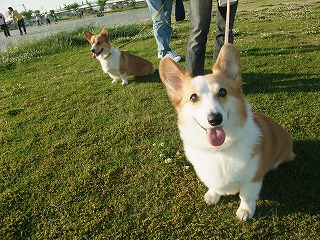 2010_0530宇品公園で0017.jpg