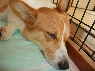 2010_07010004.jpg