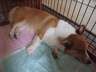 2010_07010002.jpg