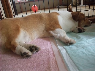 2010_07010001.jpg