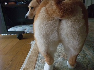2010_07100025.jpg