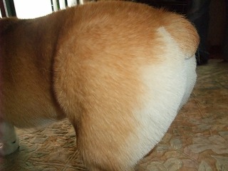 2010_07100026.jpg