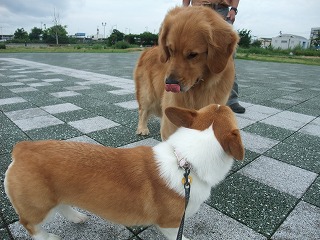 2010_0711みなと公園で0014.jpg