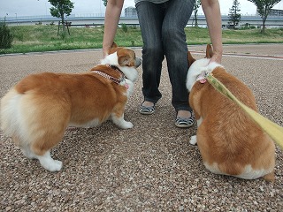2010_0711みなと公園で0006.jpg