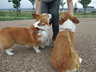 2010_0711みなと公園で0008.jpg