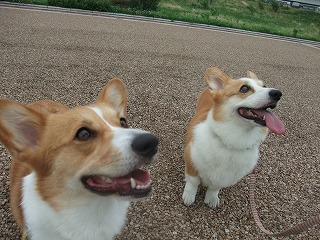 2010_0711みなと公園で0010.jpg
