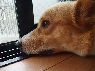 2010_07130009.jpg