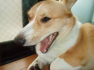 2010_07130006.jpg