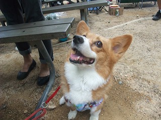 2010_0725六甲山でのオフ会0026.jpg