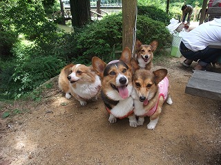 2010_0725六甲山でのオフ会0011.jpg