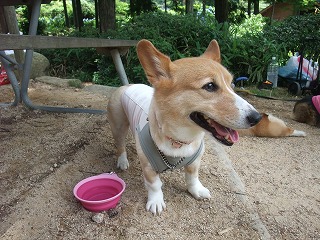 2010_0725六甲山でのオフ会0007.jpg