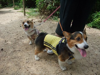 2010_0725六甲山でのオフ会0005.jpg