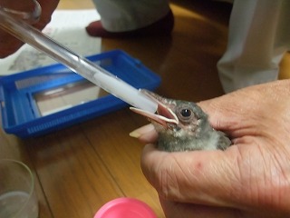 2010_07310004.jpg