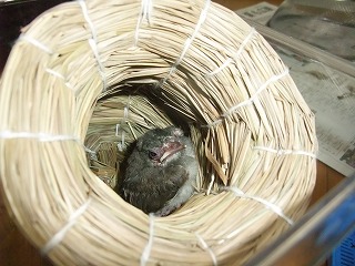 2010_07310005.jpg