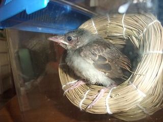 2010_07310011.jpg