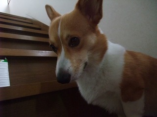 2010_07310013.jpg
