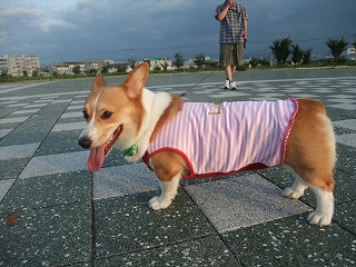 2010_08010011.jpg