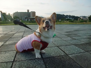 2010_08010016.jpg